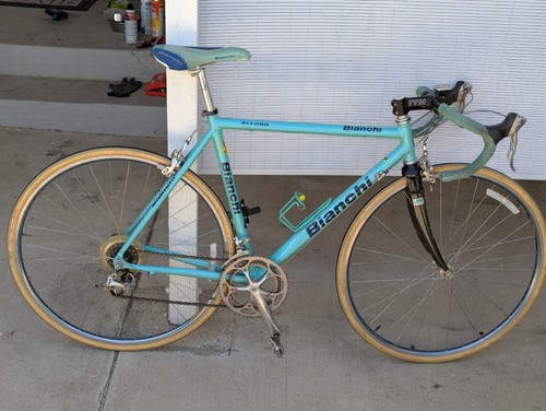 Bianchi alloro celeste - alloro,
