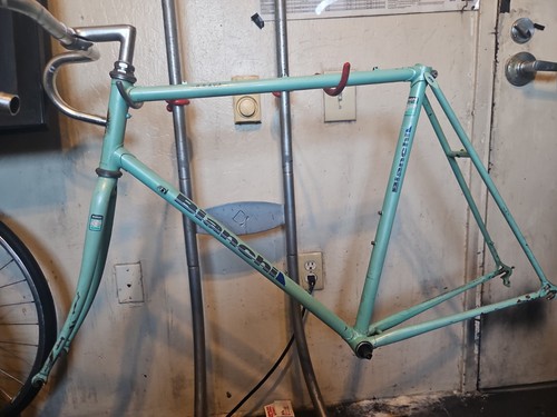 Bianchi brava celeste - bianchi,