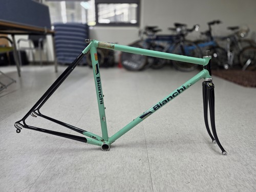 Authentic bianchi - authentic,