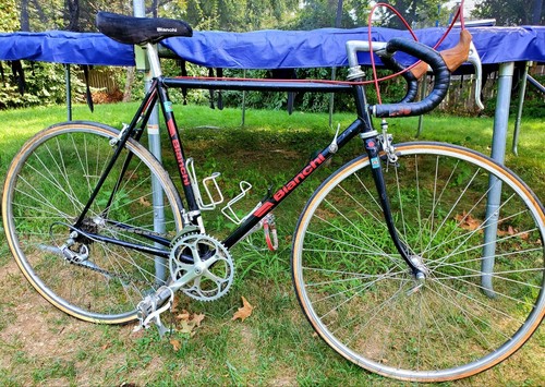 Bianchi sport road bike - ss,