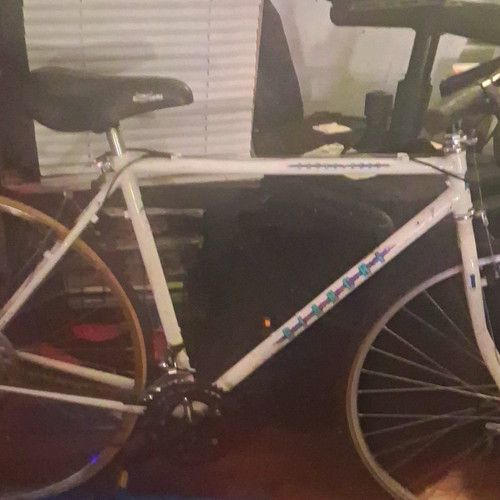 Bianchi backstreet 700c in - 19,